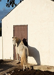 Javor Equestrian Centre Croatia