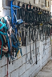 Javor Equestrian Centre Croatia