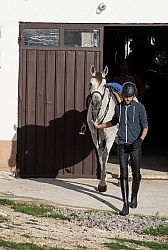 Javor Equestrian Centre Croatia
