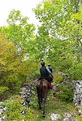ON The Trails Croatia Ride