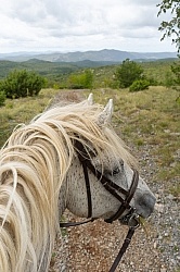 ON The Trails Croatia Ride