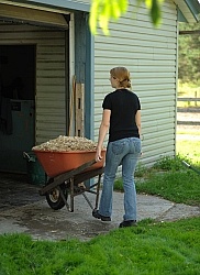 Bringing in Shavings