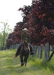 Trail Riding Western in Fall