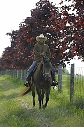 Trail Riding Western