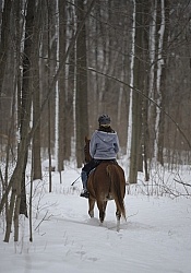 Winter Riding