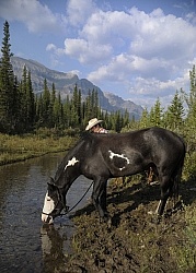 Wild Deuce Womens Retreat