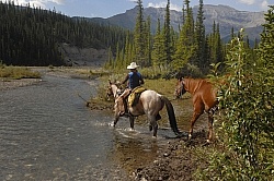 Wild Deuce Womens Retreat