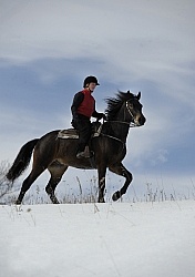 Winter Riding