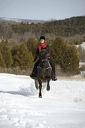Winter Riding