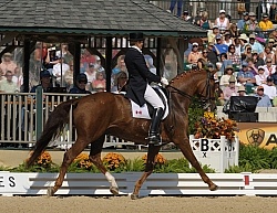 Ashley Holzer and Pop Art perform at the 2010 Alltech World Equestrian Games