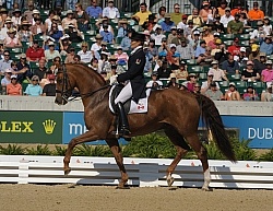 Alltech WEG Dressage, Ashely Holzer & Pop Art Ashley Holzer and Pop Art