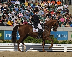 Alltech WEG Dressage, Ashely Holzer & Pop Art Ashley Holzer and Pop Art