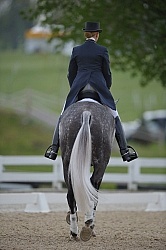 Dressage Dressage Warm Up