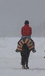Winter Riding with Sheet