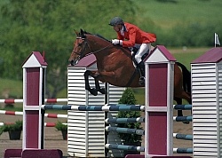 Denny Emerson and King Oscar Bromont 1994