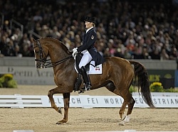 Ashley Holzer and Pop Art Weg 2010