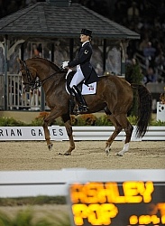 Ashley Holzer and Pop Art Weg 2010