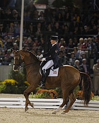 Ashley Holzer and Pop Art Weg 2010