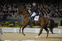 Ashley Holzer and Pop Art Weg 2010