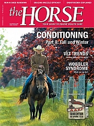 The Horse Nov 2011