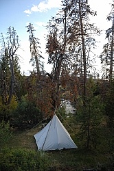 Blue Sky Sage Camp