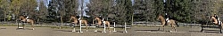 Hunter Jumper Schooling Grids