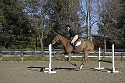 Schooling Over Fences