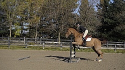 Schooling Over Fences