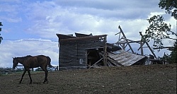 Wind Damage