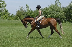 Schooling English on the Flat