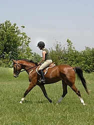 Schooling English on the Flat