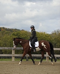 Schooling English on the Flat