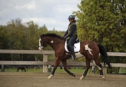 Schooling English on the Flat