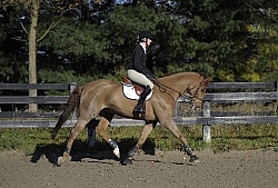 Schooling English on the Flat