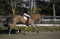 Schooling English on the Flat