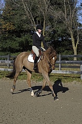 Schooling English on the Flat