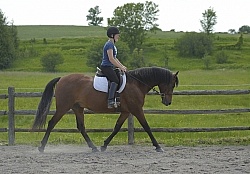 Morgan Schooling on the Flat