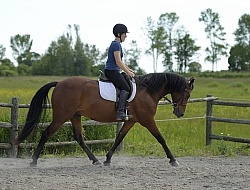 Morgan Schooling on the Flat