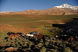 Camping in the Andes