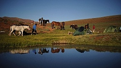 Camping in the Andes