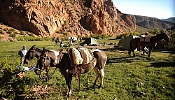 Camping in the Andes