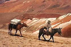 Crossing The Andes Gauchos