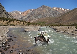 River Crossing on the Crossing of the Andes Ride