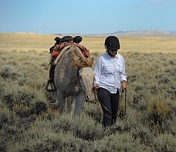 The Ride To the Wild horses with Blue Sky Sage