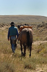 Mike Wade on The Ride To the Wild horses with Blue Sky Sage