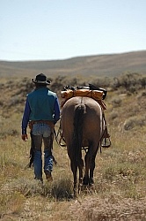 The Ride To the Wild horses with Blue Sky Sage