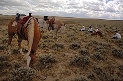 Lunch Stop with Blue Sky Sage Outfitters