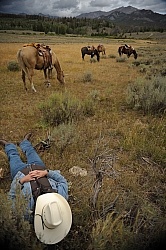 Lunch Stop with Blue Sky Sage Outfitters