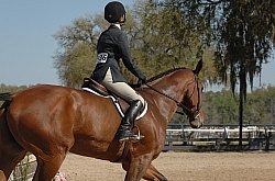 Hunter in Flat Class