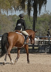 Hunter in Flat Class